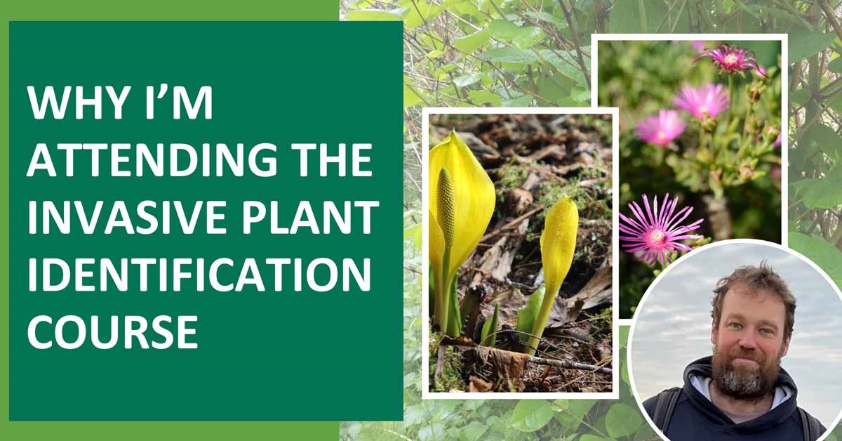Why I'm attending the Invasive Plant Identification course